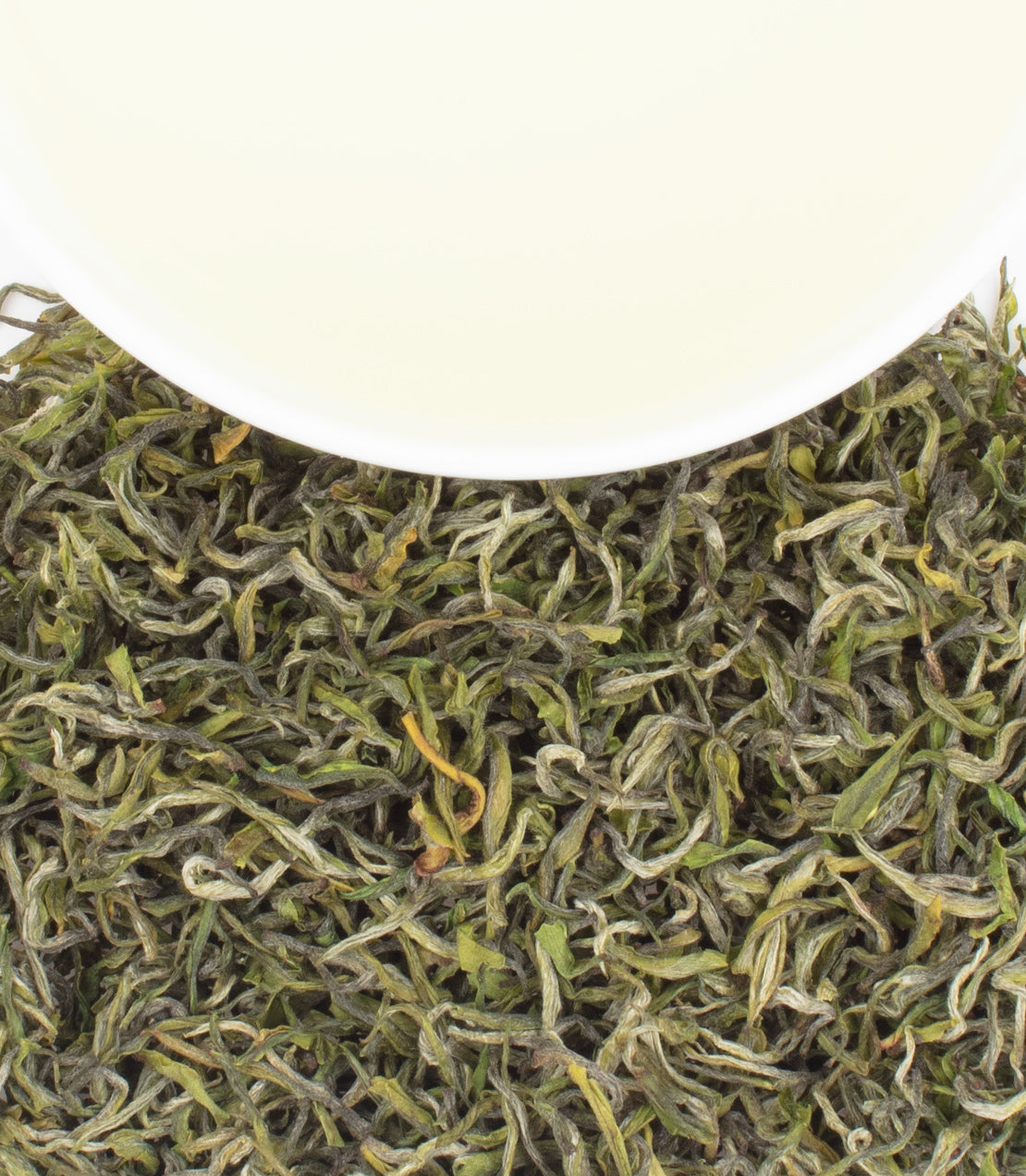 A white cup of pale yellow tea rests atop a pile of dried green tea leaves.