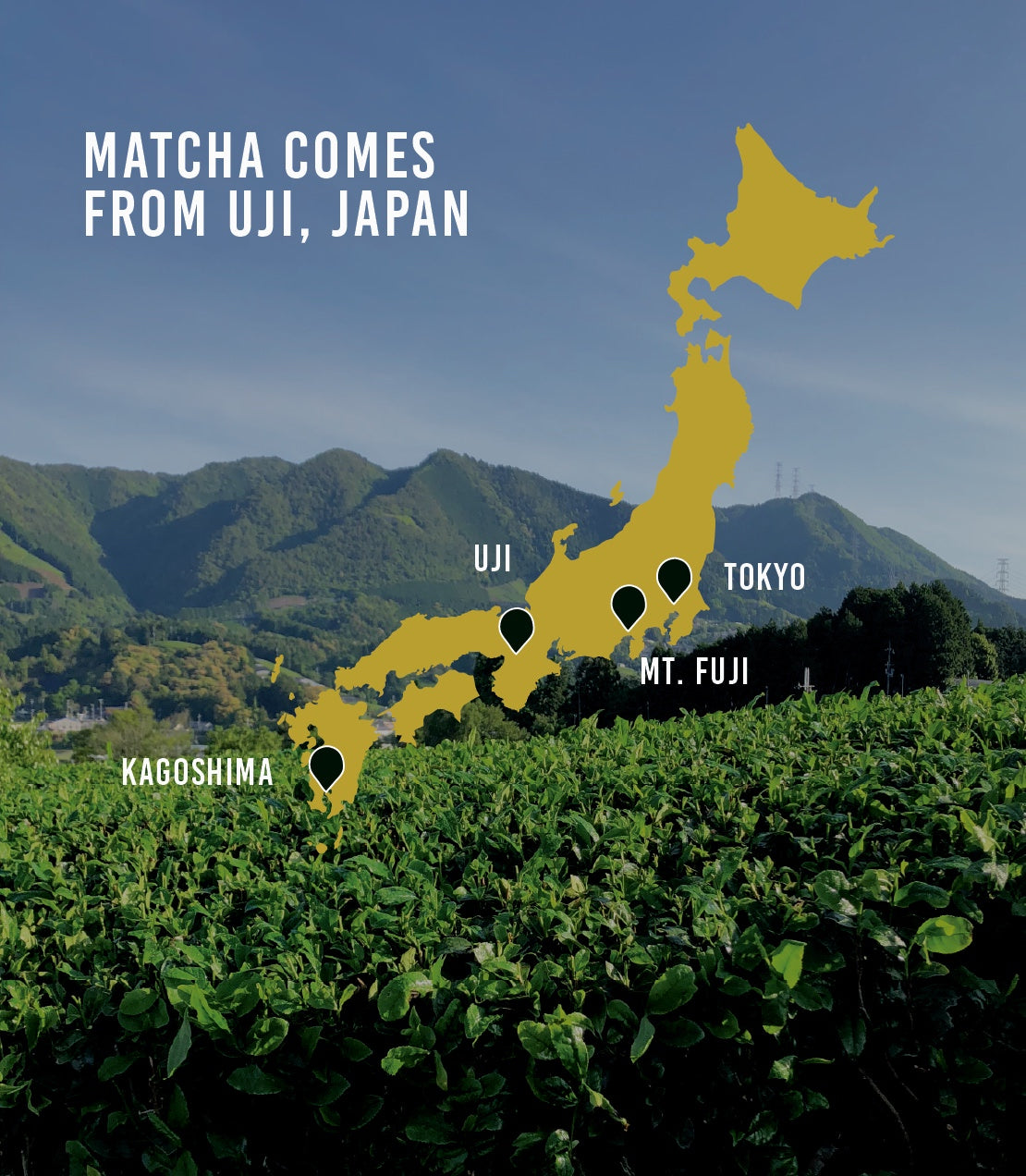 Map of Japan highlighting Uji with a tea field in the foreground.

Matcha comes from Uji, Japan.