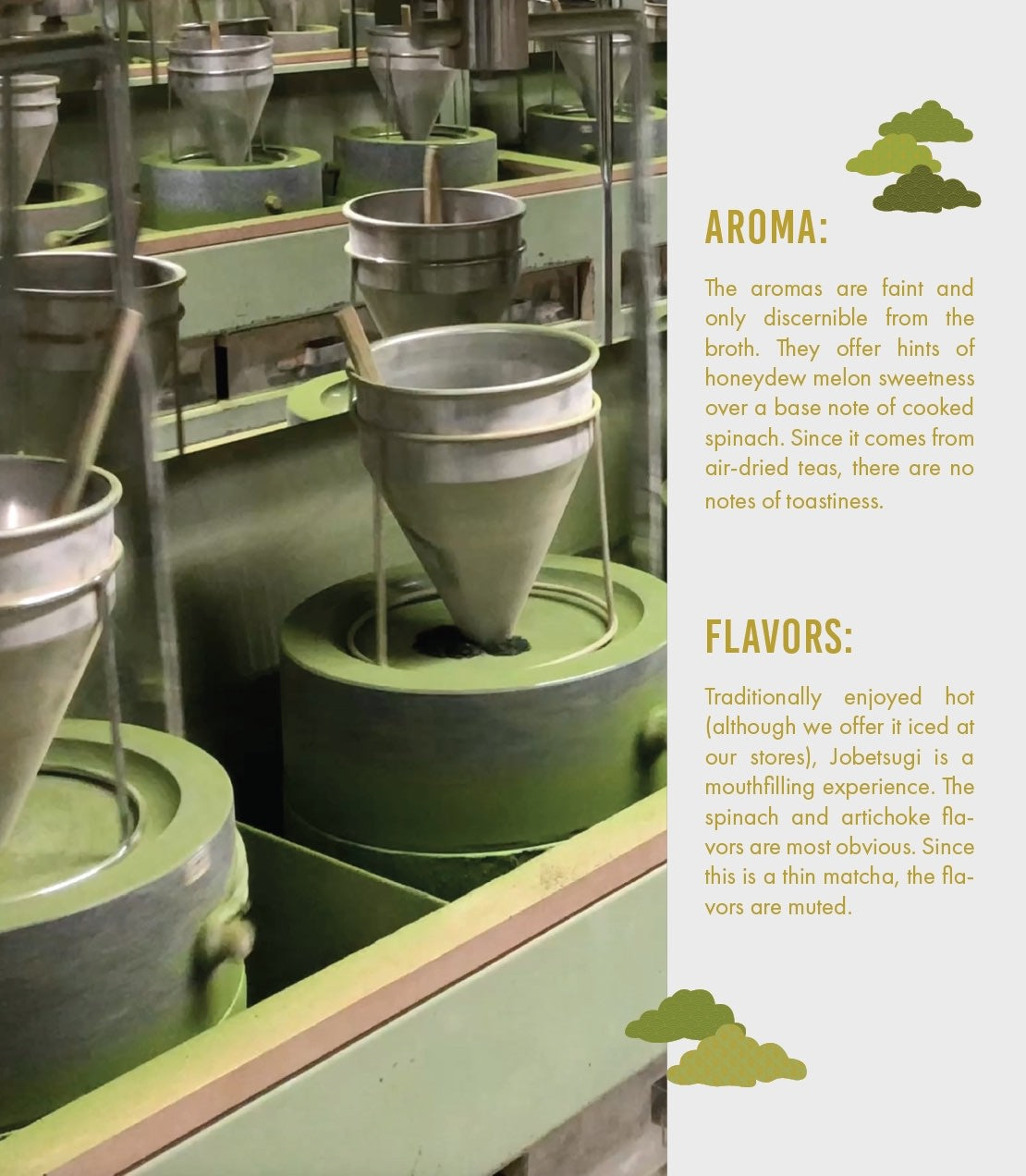 Aroma: The aromas are faint and only discernible from the broth. They offer hints of honeydew melon sweetness over a base note of cooked spinach. Since it comes from air-dried teas, there are no notes of toastiness.

Flavors: Traditionally enjoyed hot (although we offer it iced at our stores), Jobetsugi is a mouth filling experience. The spinach and artichoke flavors are most obvious. Since this is a thin matcha, the flavors are muted, 