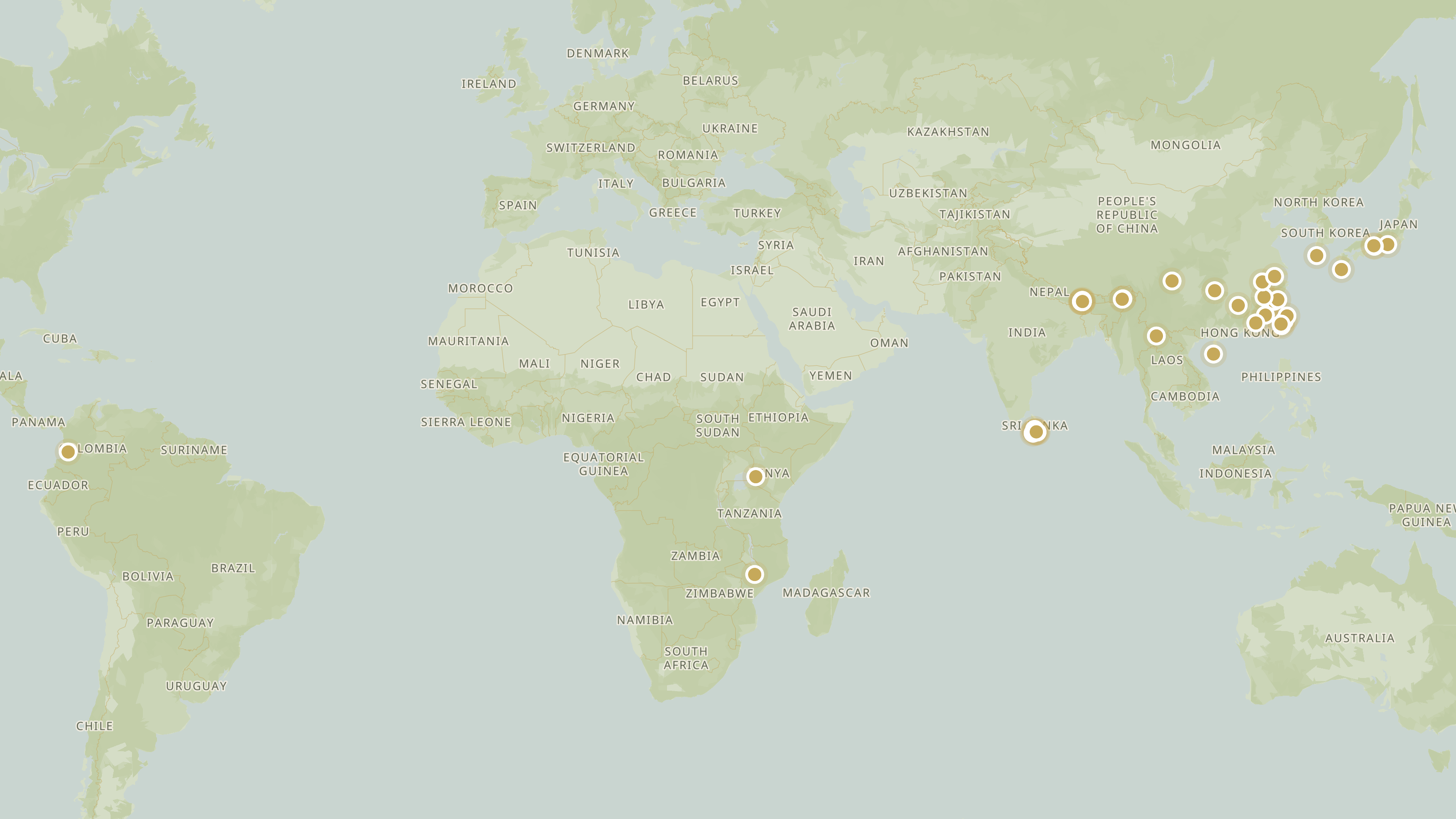 World map showing where Harney and Sons rare teas grow, from Colombia through Africa, Sri Lanka, India, China, Taiwan, Korea and Japan