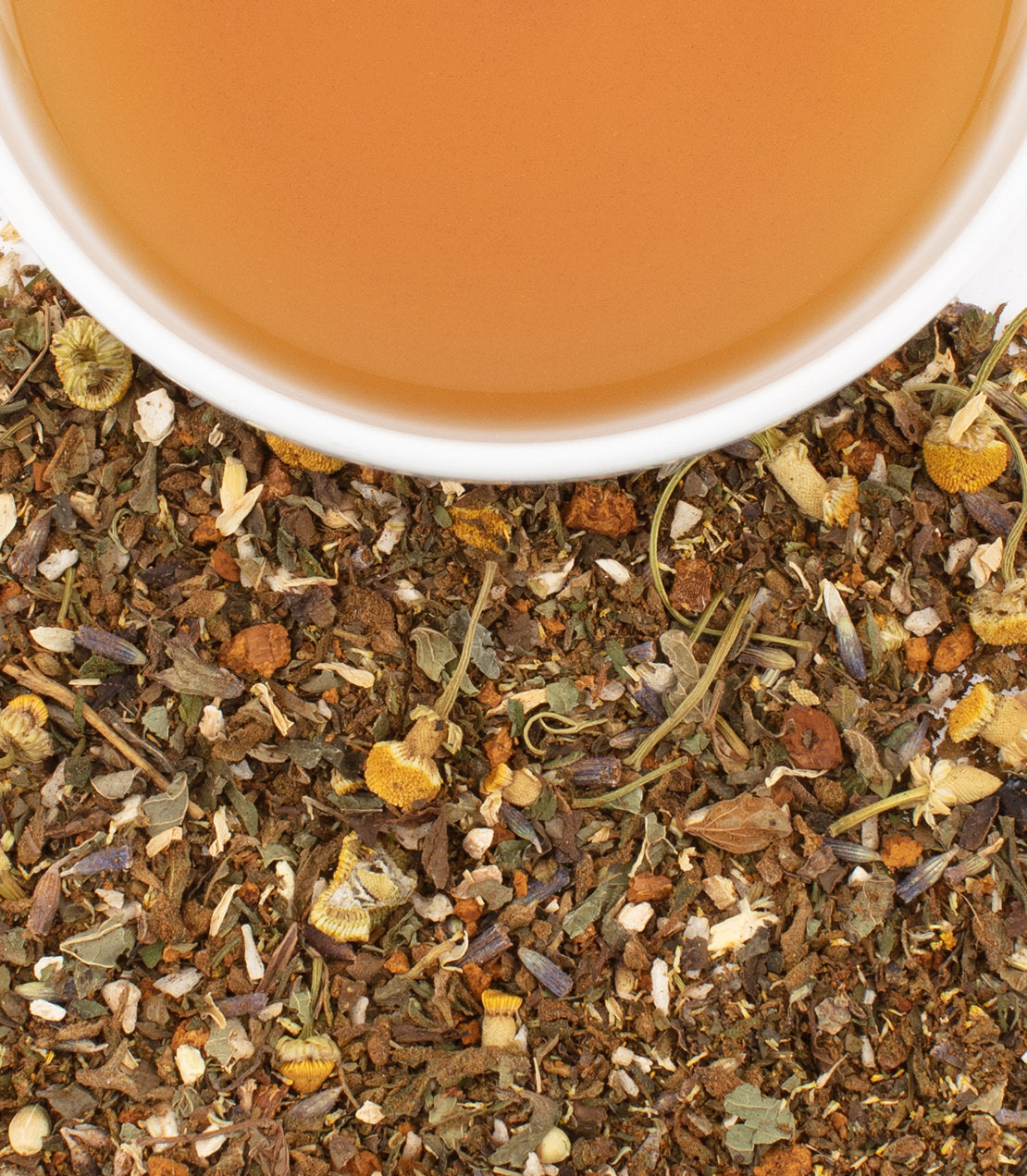 Chaga Ashwagandha herbal tea sachets, with a cup of brewed tea and loose herbs scattered around.