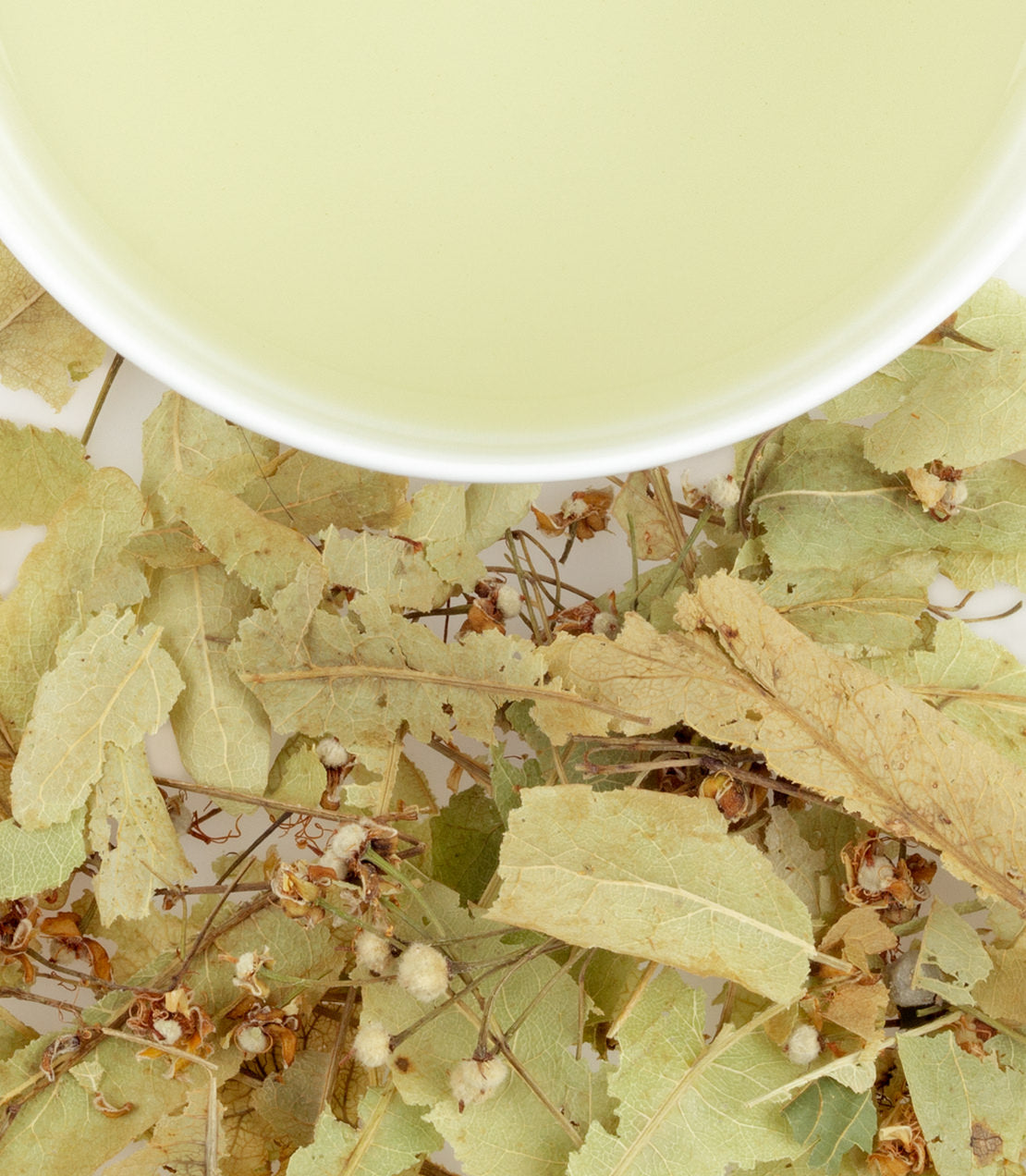 A cup of linden tea surrounded by dried linden leaves, showcasing their light green color and texture.